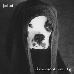Joyland (2006)